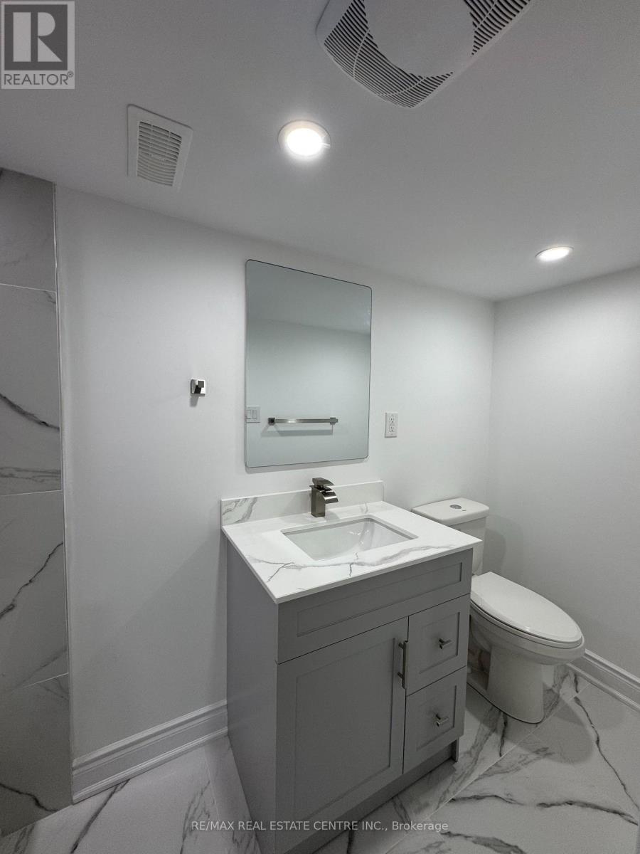Basement - 3722 Ellengale Drive, Mississauga, Ontario  L5C 1Z7 - Photo 2 - W13621010