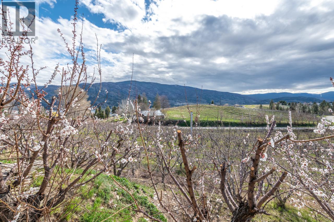 346 Hwy 97, Kaleden, British Columbia  V0H 1K0 - Photo 6 - 10372282