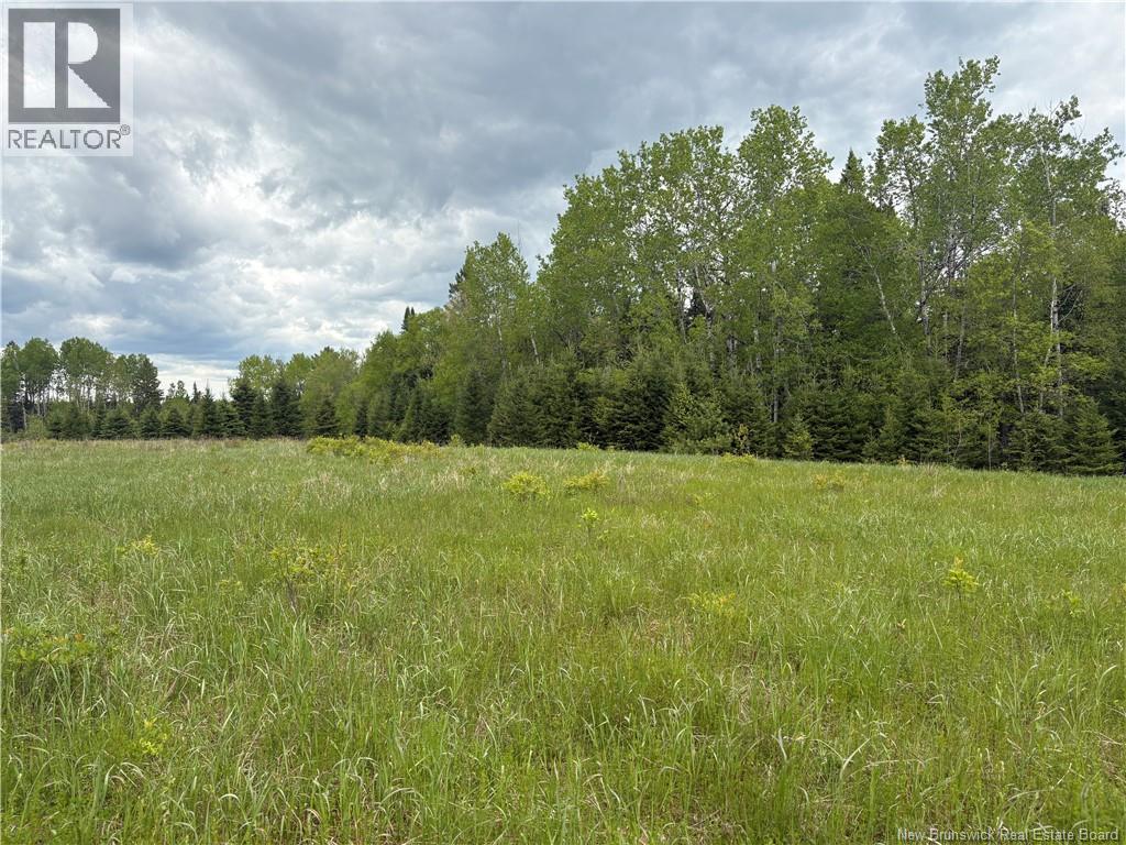 326 Dorn Ridge Road, Burtts Corner, New Brunswick  E6L 2T7 - Photo 12 - NB140979