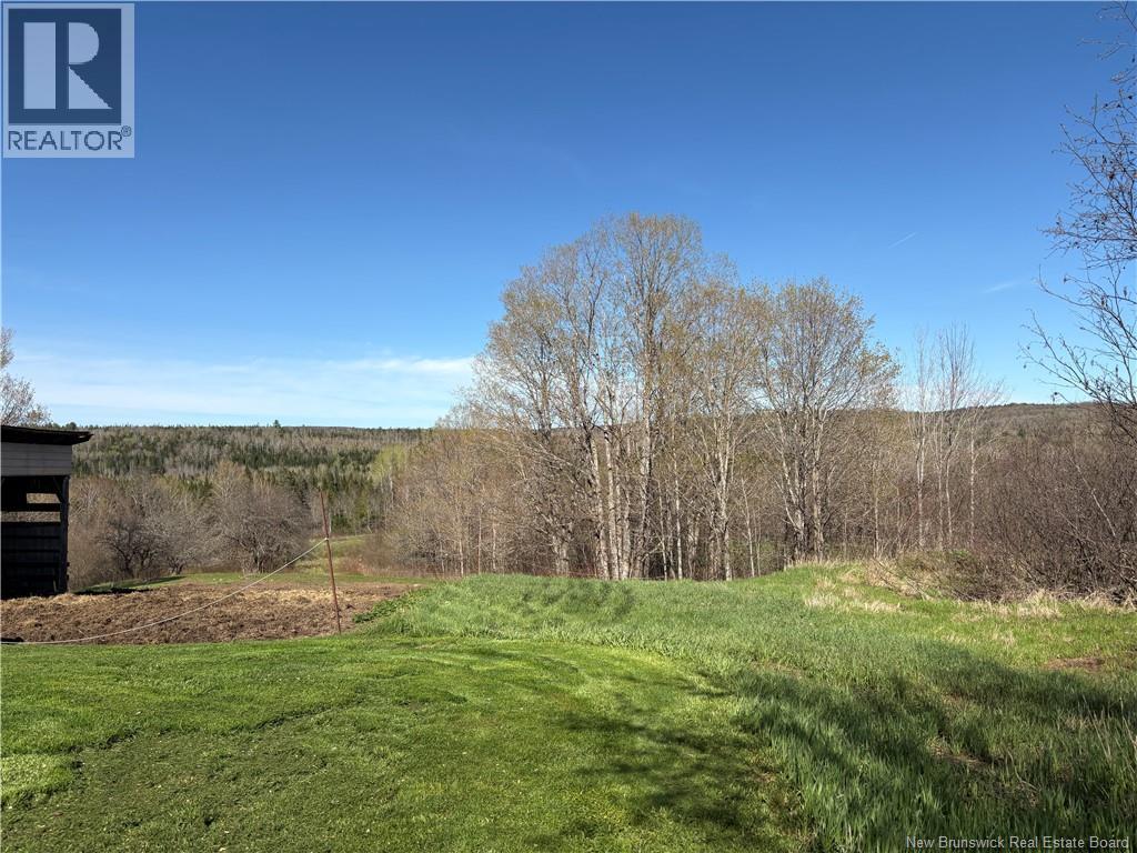 326 Dorn Ridge Road, Burtts Corner, New Brunswick  E6L 2T7 - Photo 8 - NB140981