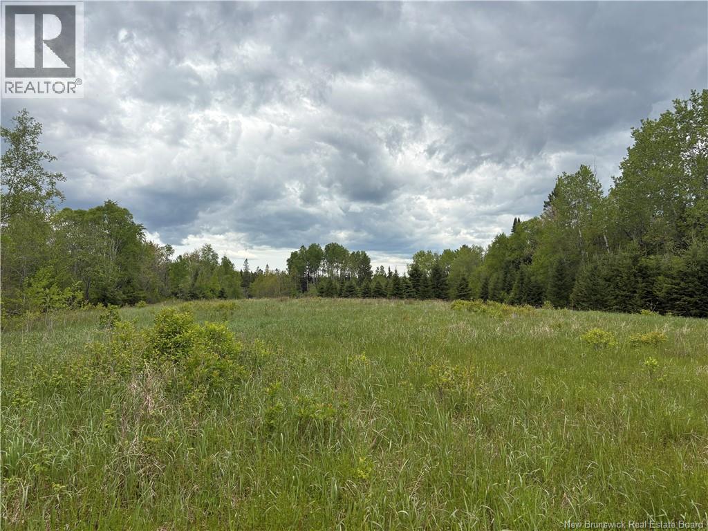 326 Dorn Ridge Road, Burtts Corner, New Brunswick  E6L 2T7 - Photo 11 - NB140981