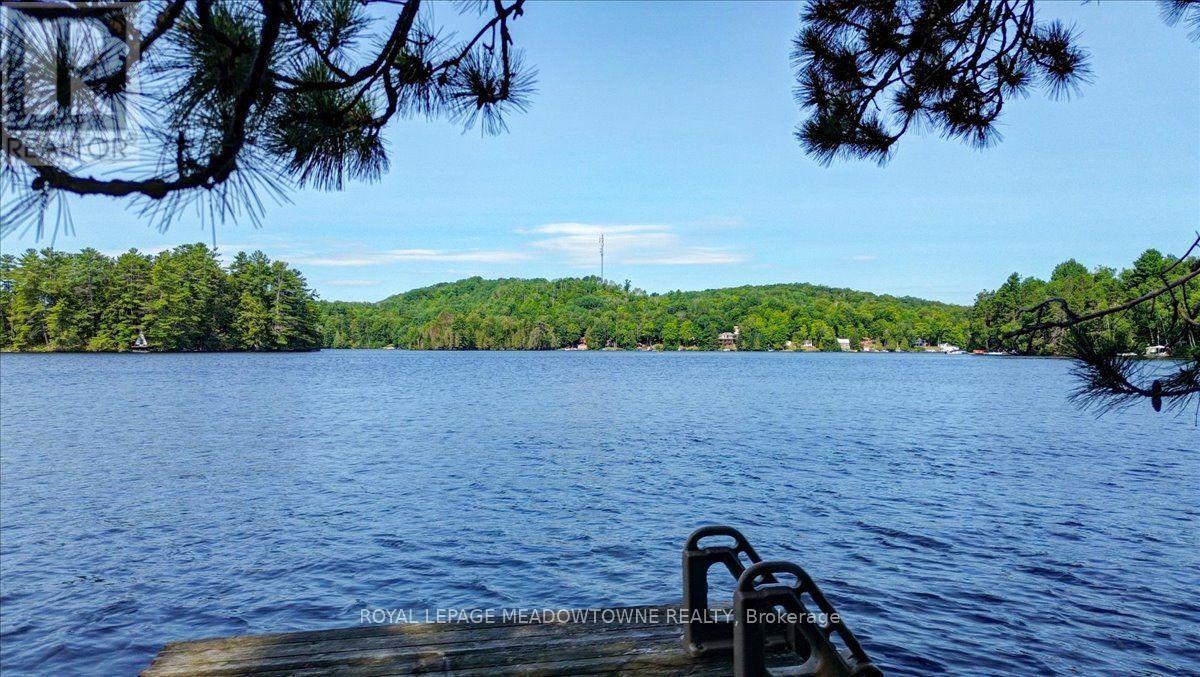 49a Mcallister Road, Bancroft, Ontario  L8H 6K4 - Photo 38 - X13621496