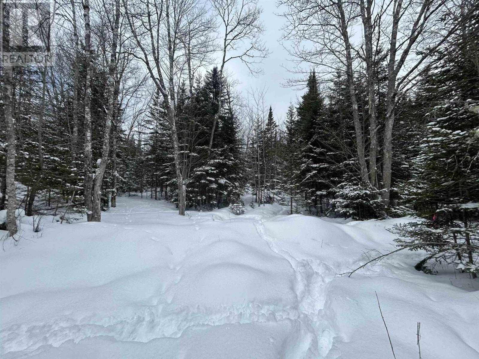 Lot 1 Highway 289, Middle Stewiacke, Nova Scotia  B0N 1C0 - Photo 3 - 202603634