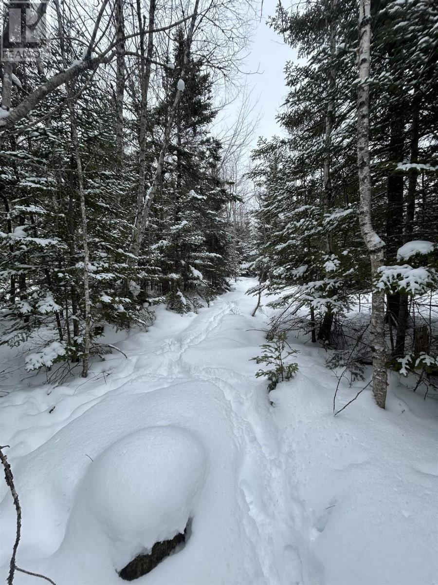 Lot 2 Highway 289, Middle Stewiacke, Nova Scotia  B0N 1C0 - Photo 2 - 202603639