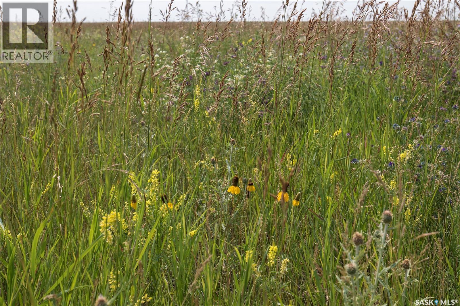 Tyvan Farm, Wellington Rm No. 97, Saskatchewan  S0G 4X0 - Photo 7 - SK039291