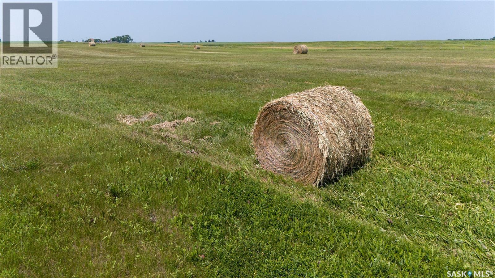 Tyvan Farm, Wellington Rm No. 97, Saskatchewan  S0G 4X0 - Photo 16 - SK039291