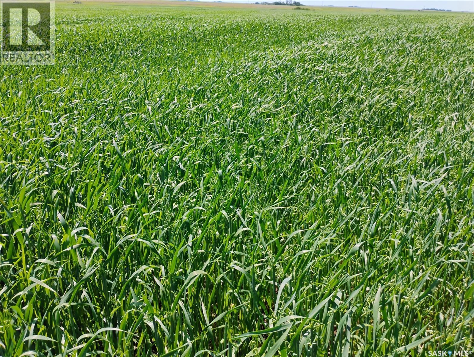 Tyvan Farm, Wellington Rm No. 97, Saskatchewan  S0G 4X0 - Photo 4 - SK039291