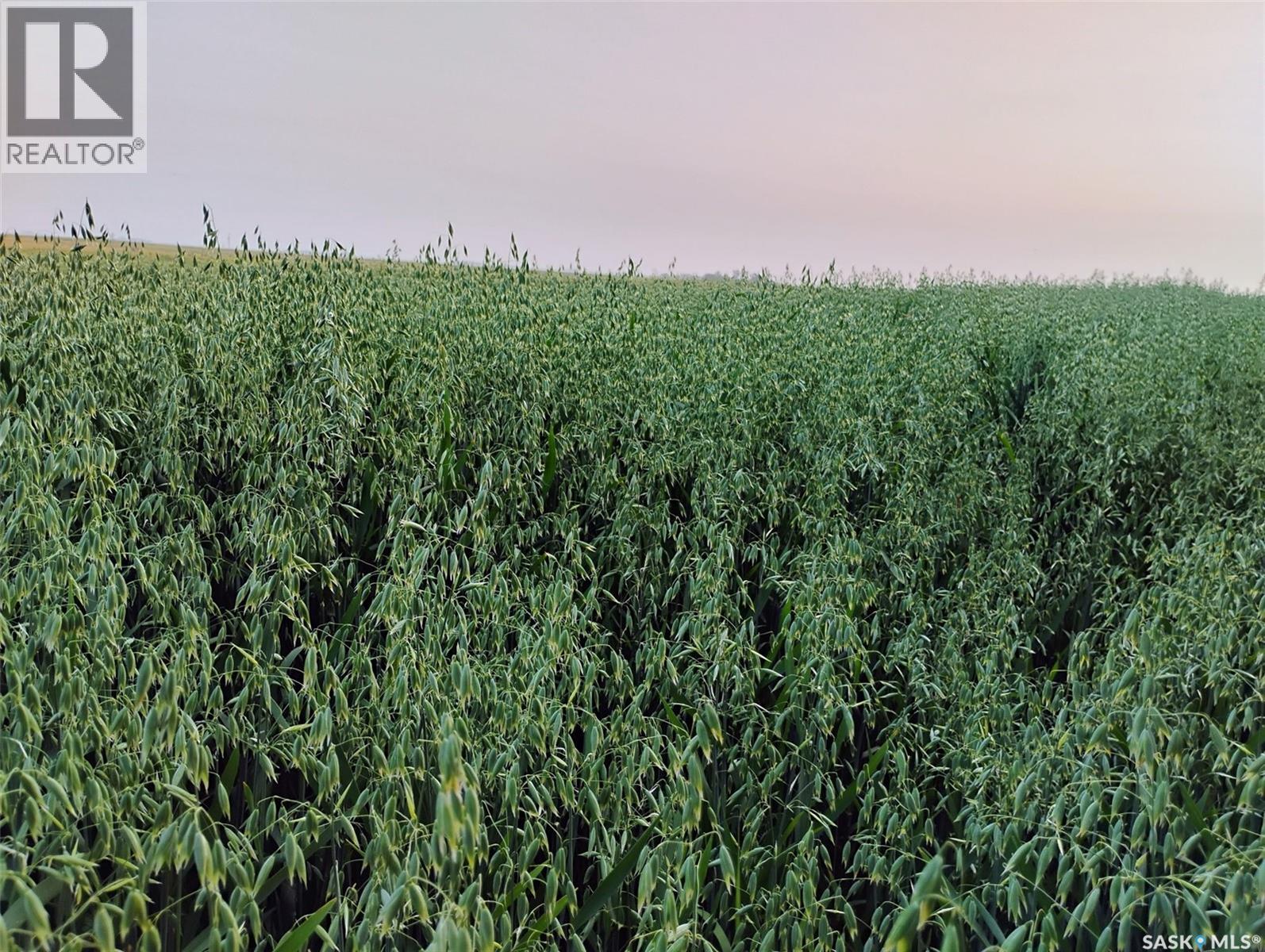 Tyvan Farm, Wellington Rm No. 97, Saskatchewan  S0G 4X0 - Photo 6 - SK039291