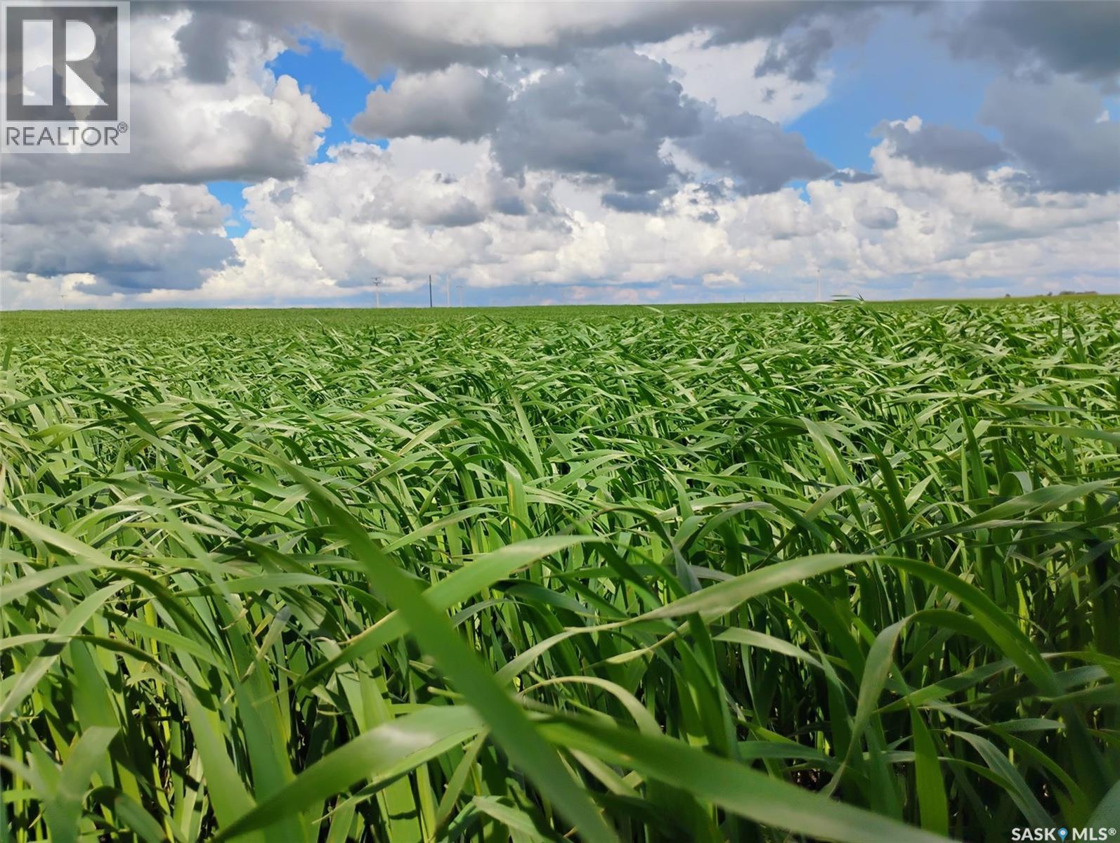 Tyvan Farm, Wellington Rm No. 97, Saskatchewan  S0G 4X0 - Photo 2 - SK039291