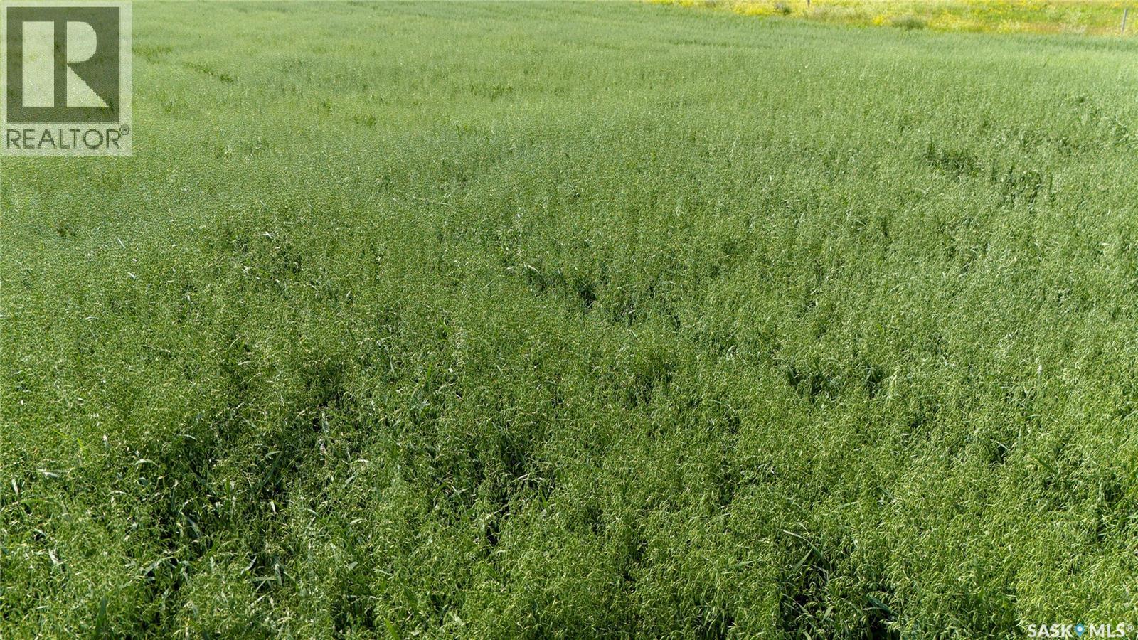 Tyvan Farm, Wellington Rm No. 97, Saskatchewan  S0G 4X0 - Photo 9 - SK039291