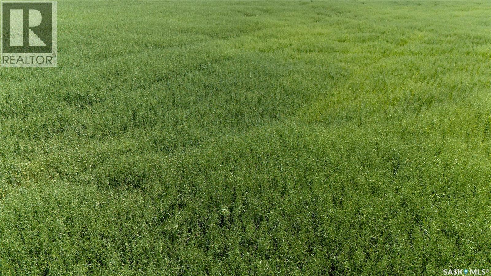 Tyvan Farm, Wellington Rm No. 97, Saskatchewan  S0G 4X0 - Photo 10 - SK039291