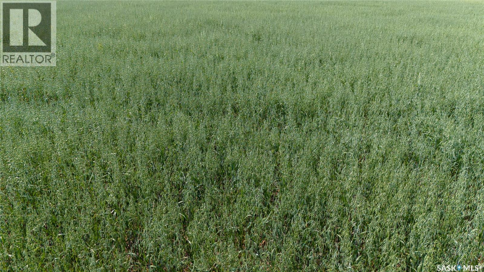 Tyvan Farm, Wellington Rm No. 97, Saskatchewan  S0G 4X0 - Photo 12 - SK039291