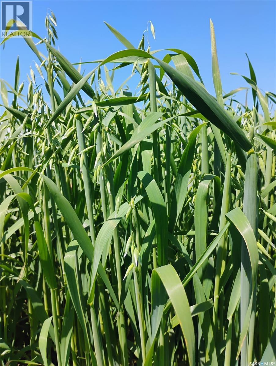 Tyvan Farm, Wellington Rm No. 97, Saskatchewan  S0G 4X0 - Photo 3 - SK039291