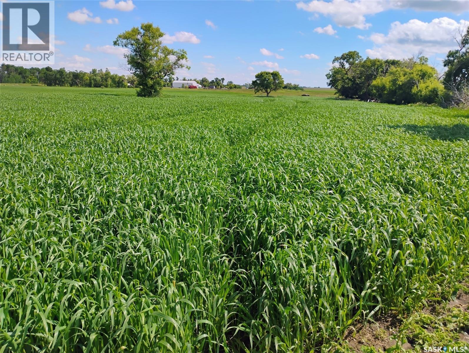 Tyvan Farm, Wellington Rm No. 97, Saskatchewan  S0G 4X0 - Photo 5 - SK039291