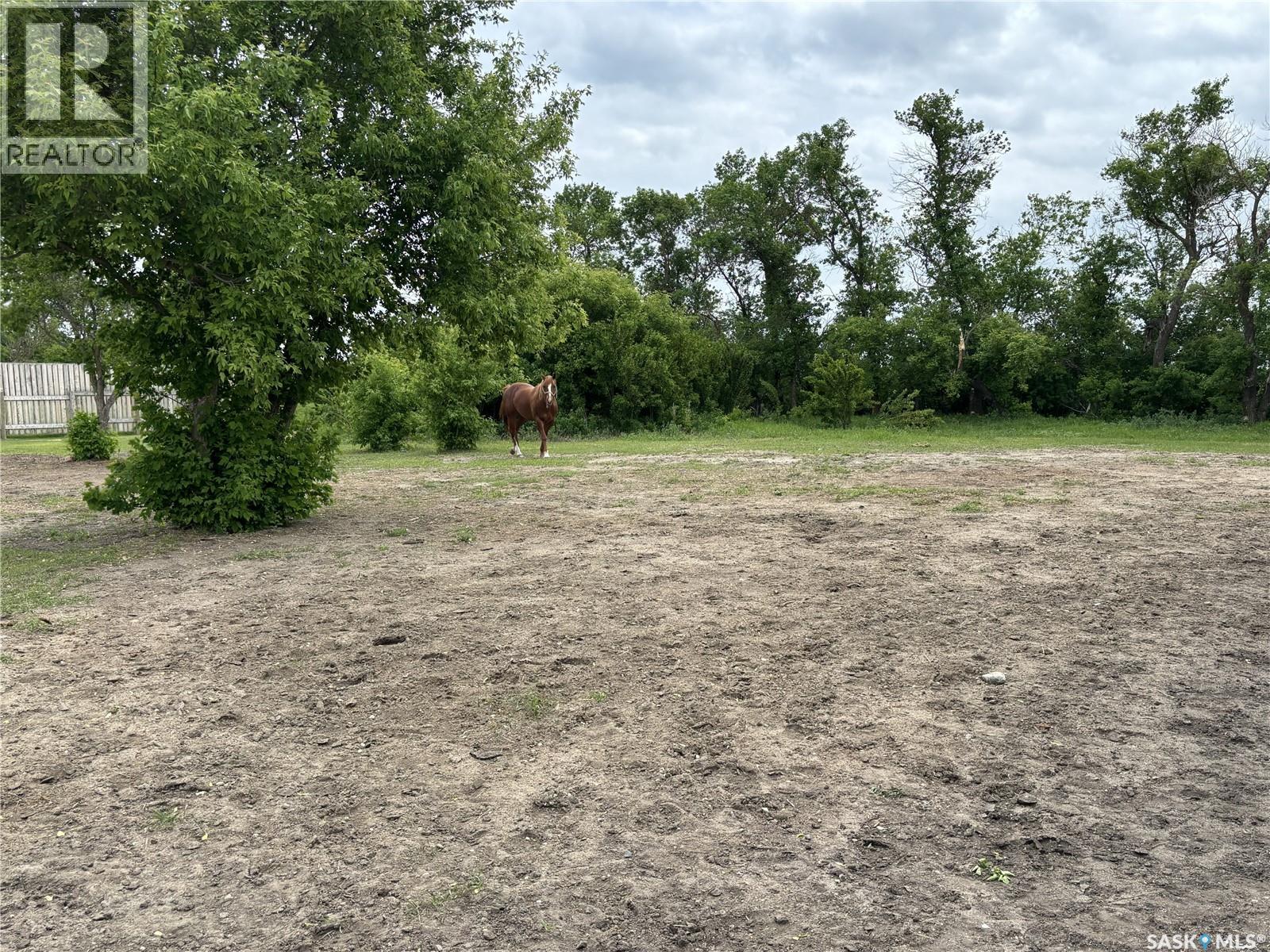 Tyvan Farm, Wellington Rm No. 97, Saskatchewan  S0G 4X0 - Photo 68 - SK039291
