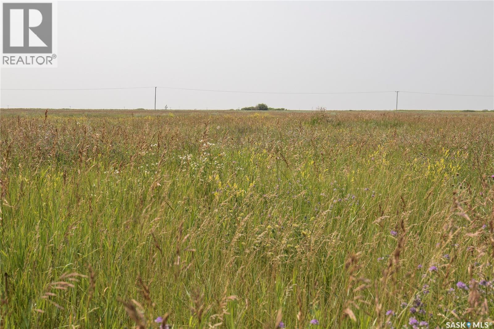 Tyvan Farm, Wellington Rm No. 97, Saskatchewan  S0G 4X0 - Photo 72 - SK039291