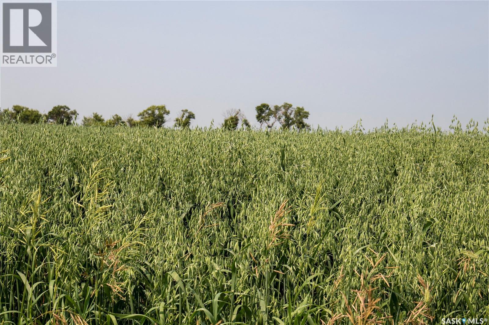 Tyvan Farm, Wellington Rm No. 97, Saskatchewan  S0G 4X0 - Photo 69 - SK039291