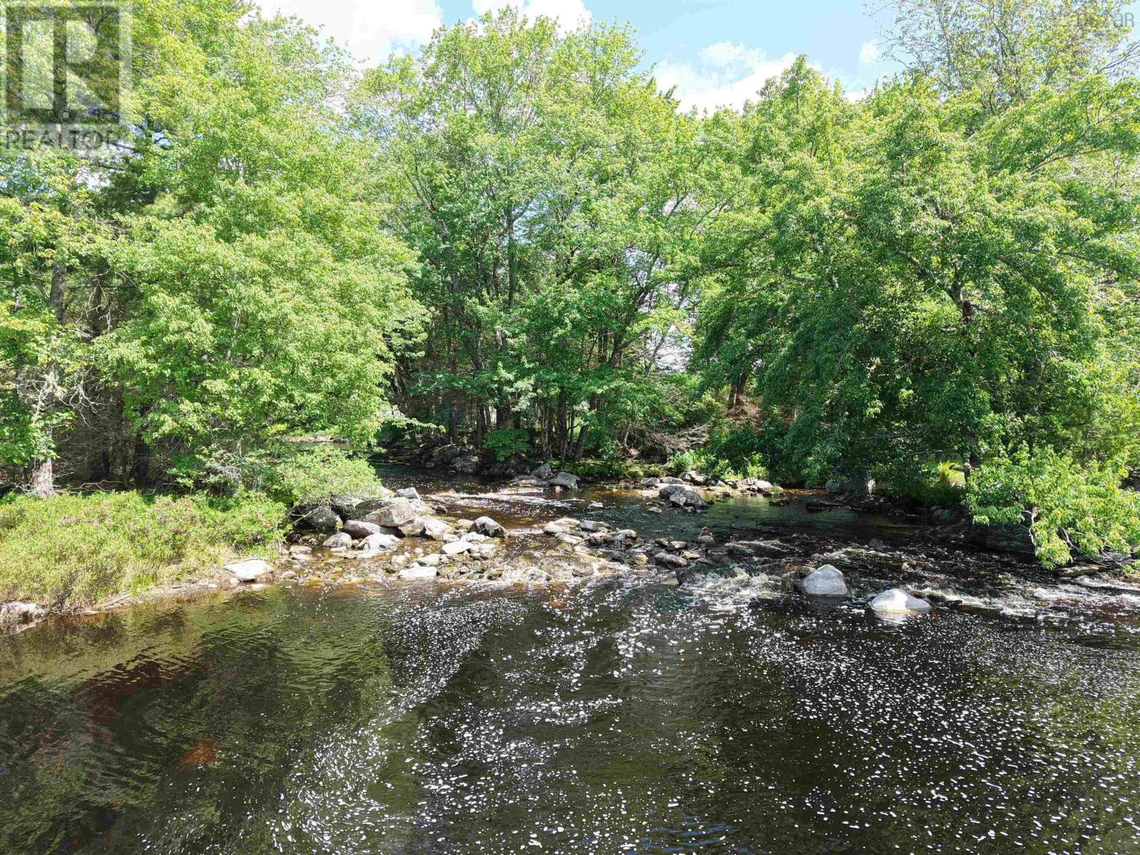 picture 45
