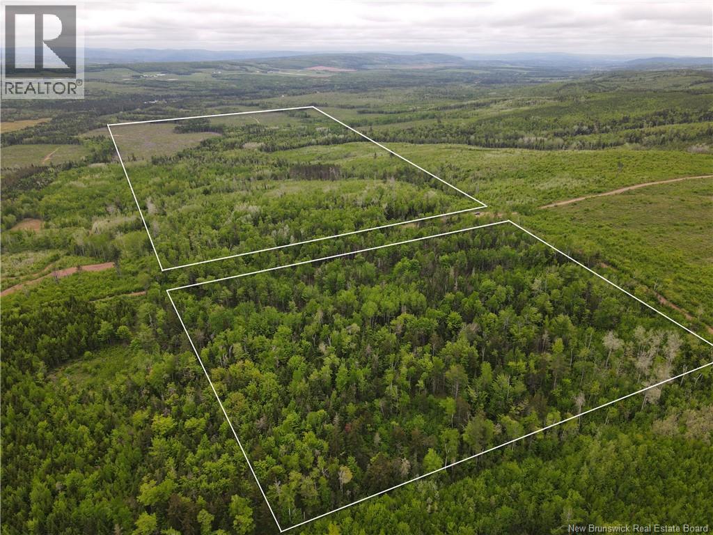 Lot Cemetery Road, Whites Mountain, New Brunswick  E4G 2M4 - Photo 1 - NB145089