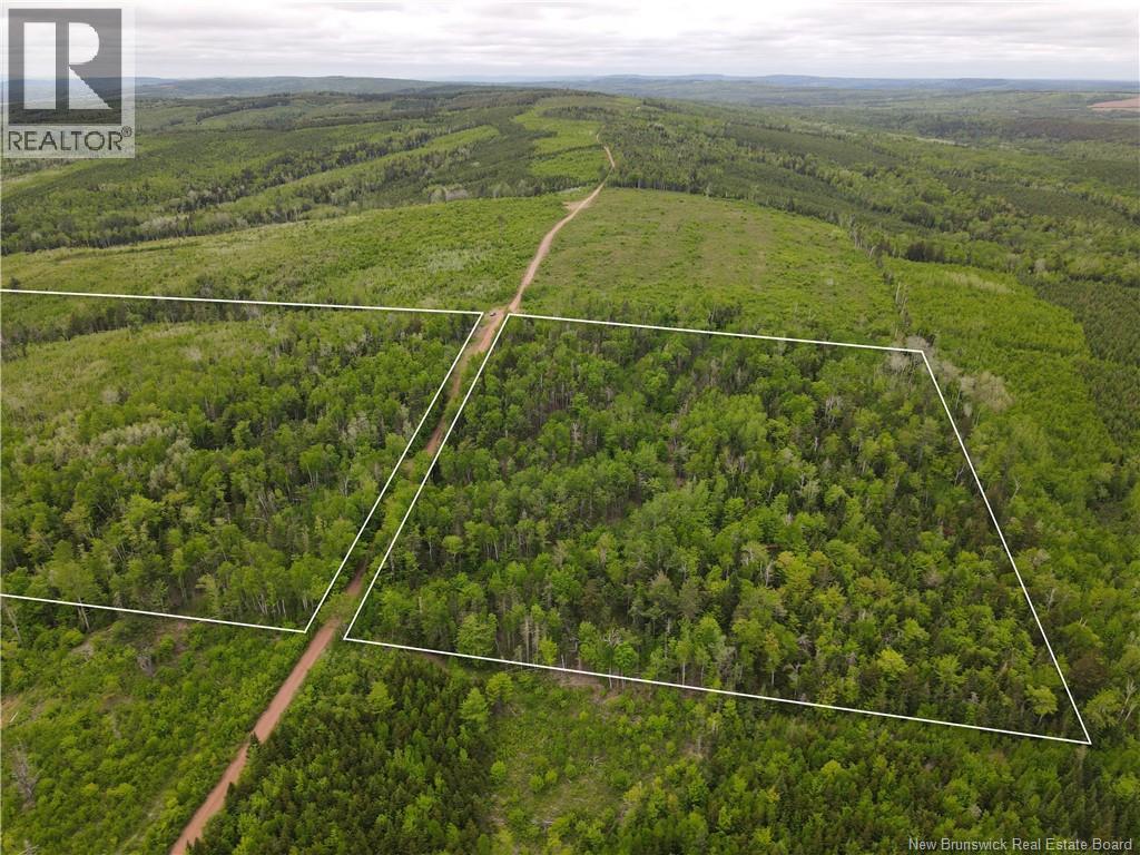 Lot Cemetery Road, Whites Mountain, New Brunswick  E4G 2M4 - Photo 3 - NB145089