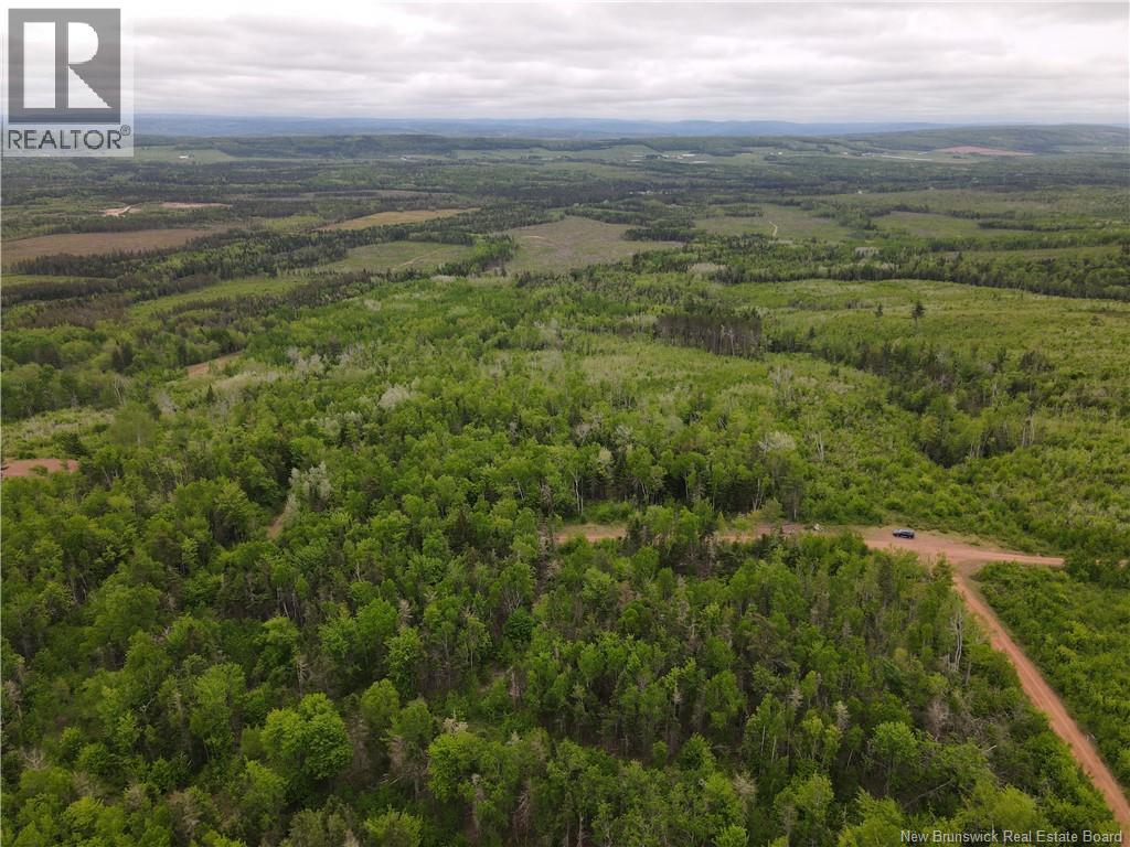 Lot Cemetery Road, Whites Mountain, New Brunswick  E4G 2M4 - Photo 4 - NB145089