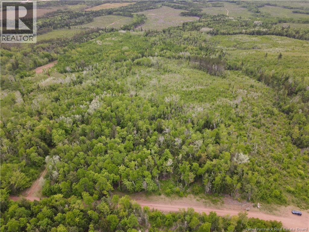 Lot Cemetery Road, Whites Mountain, New Brunswick  E4G 2M4 - Photo 5 - NB145089