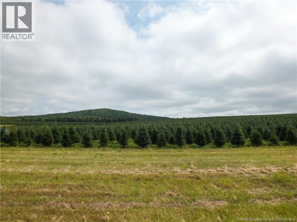 1409 Route 570, Gordonsville, New Brunswick  E7L 2M9 - Photo 39 - NB145079