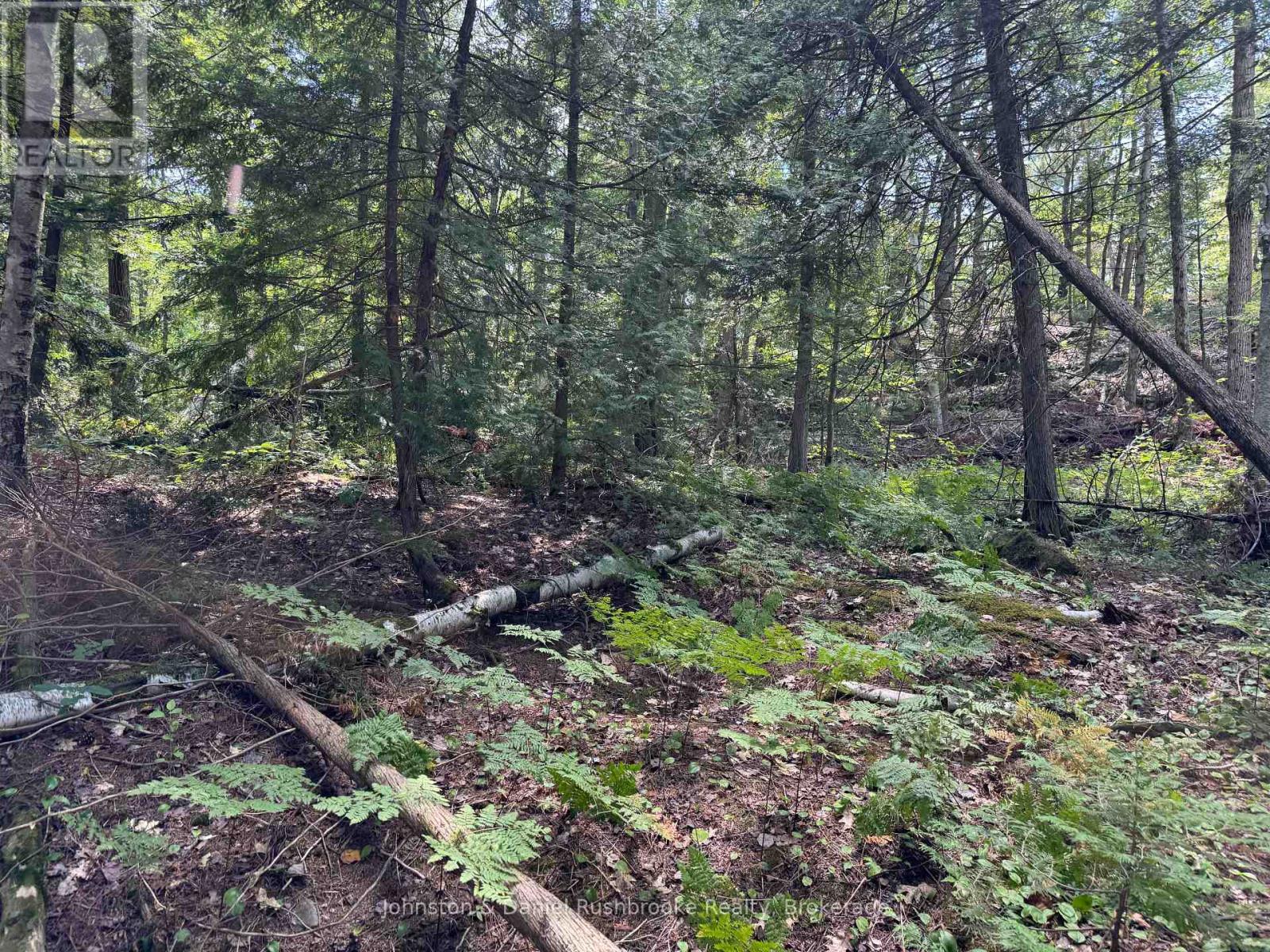 2 Island 24lm (Denison), Gravenhurst, Ontario  P1P 1R2 - Photo 12 - X13621872