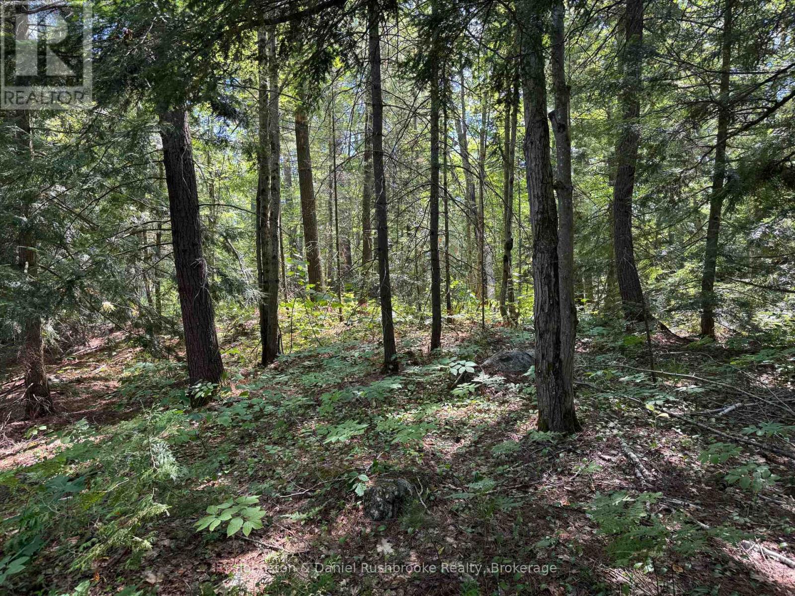 2 Island 24lm (Denison), Gravenhurst, Ontario  P1P 1R2 - Photo 6 - X13621872