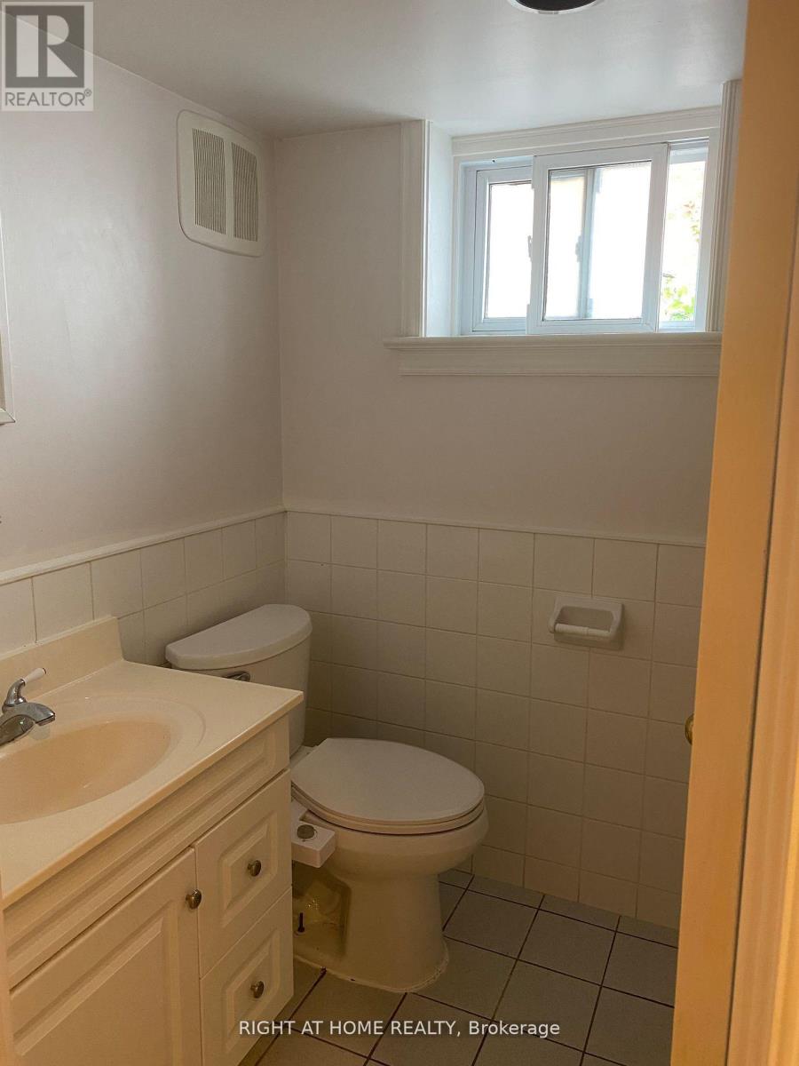 Basement - 36 Newton Drive, Toronto, Ontario M2M 2M7 - Photo 3 - C13621966
