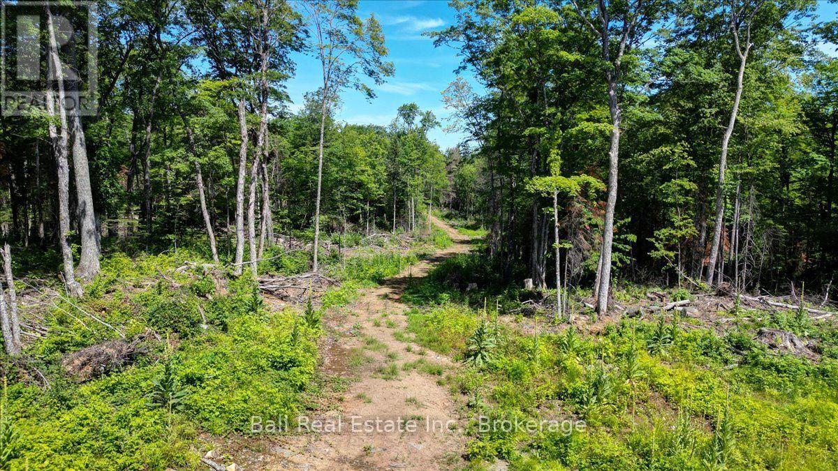691 BUSH ROAD, North Kawartha, Ontario