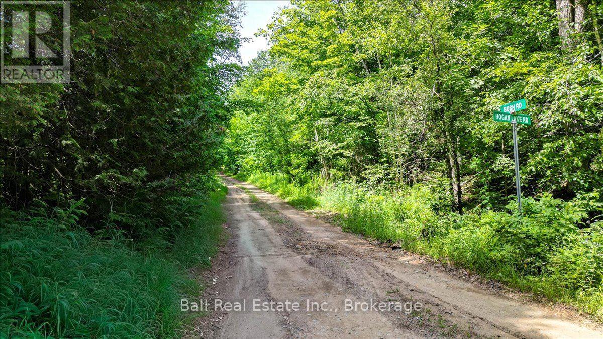 691 Bush Road, North Kawartha, Ontario  K0L 1A0 - Photo 10 - X13622050