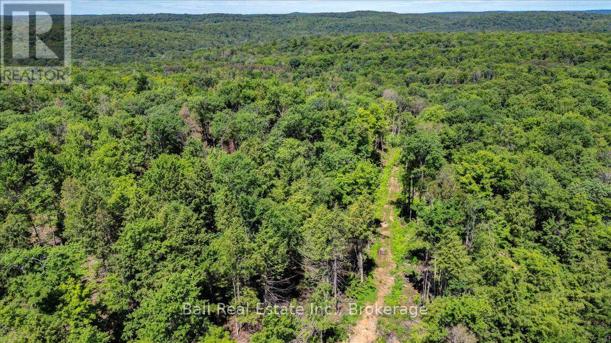 691 Bush Road, North Kawartha, Ontario  K0L 1A0 - Photo 5 - X13622050