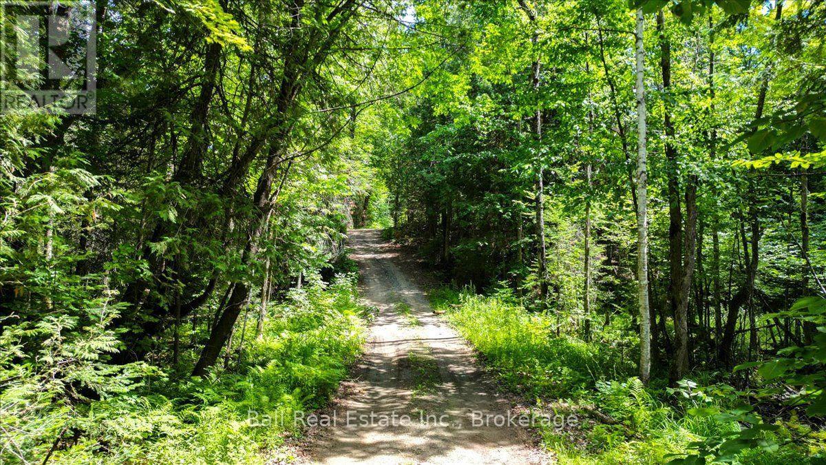 691 Bush Road, North Kawartha, Ontario  K0L 1A0 - Photo 9 - X13622050