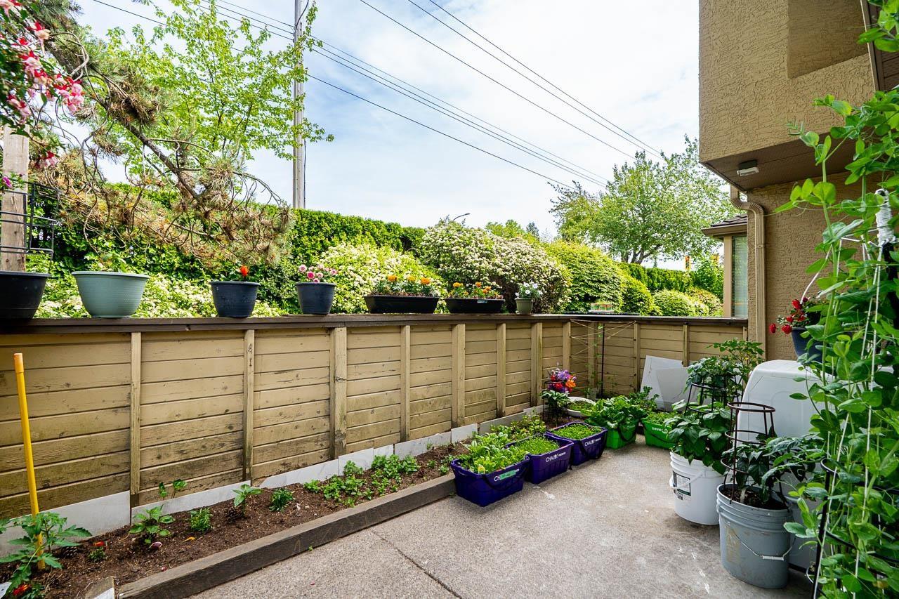 21 12172 72 Avenue, Surrey, British Columbia  V3W 2L9 - Photo 31 - R3149176