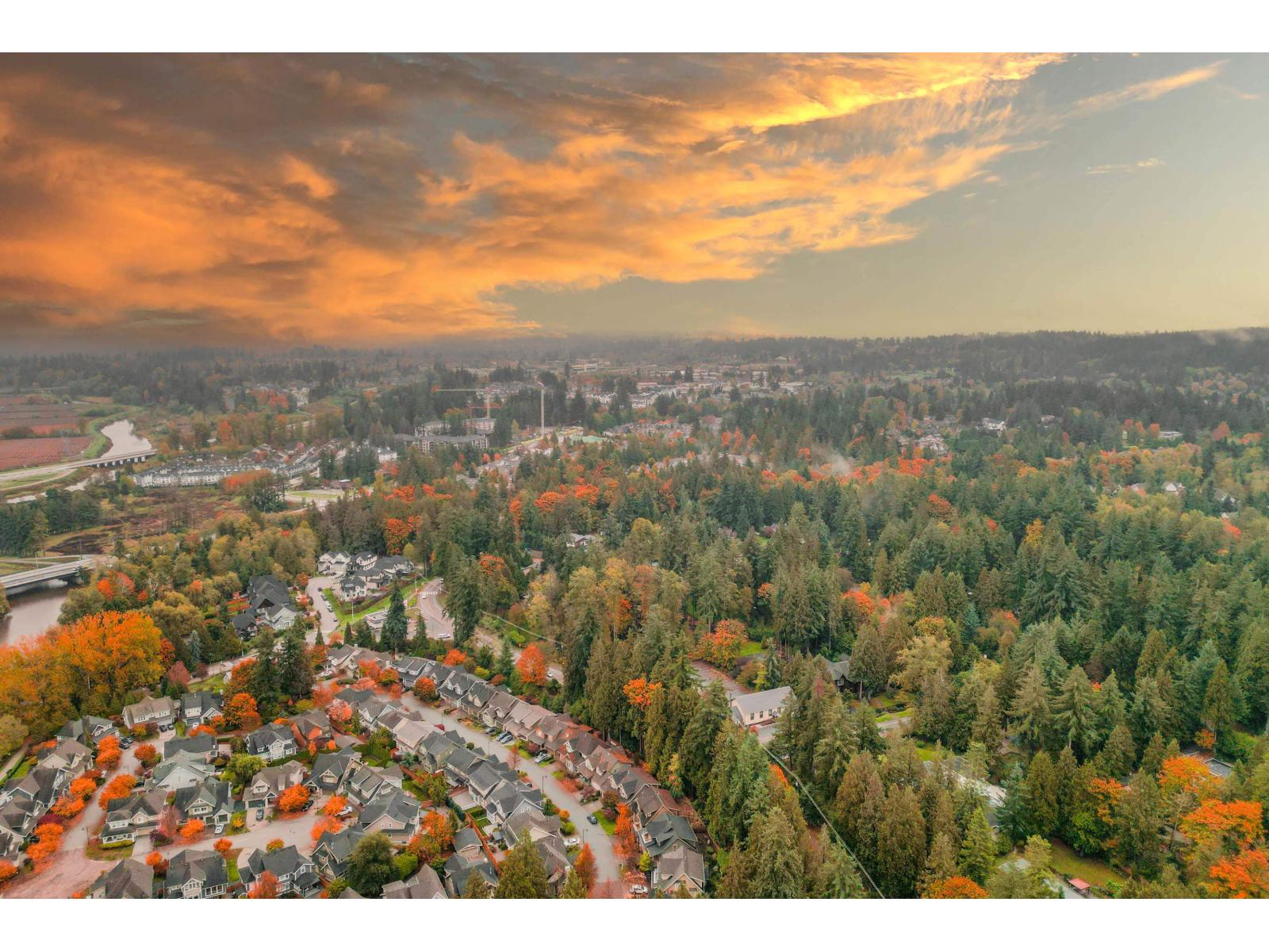 14208 36a Avenue, Surrey, British Columbia  V4P 0C2 - Photo 27 - R3151335