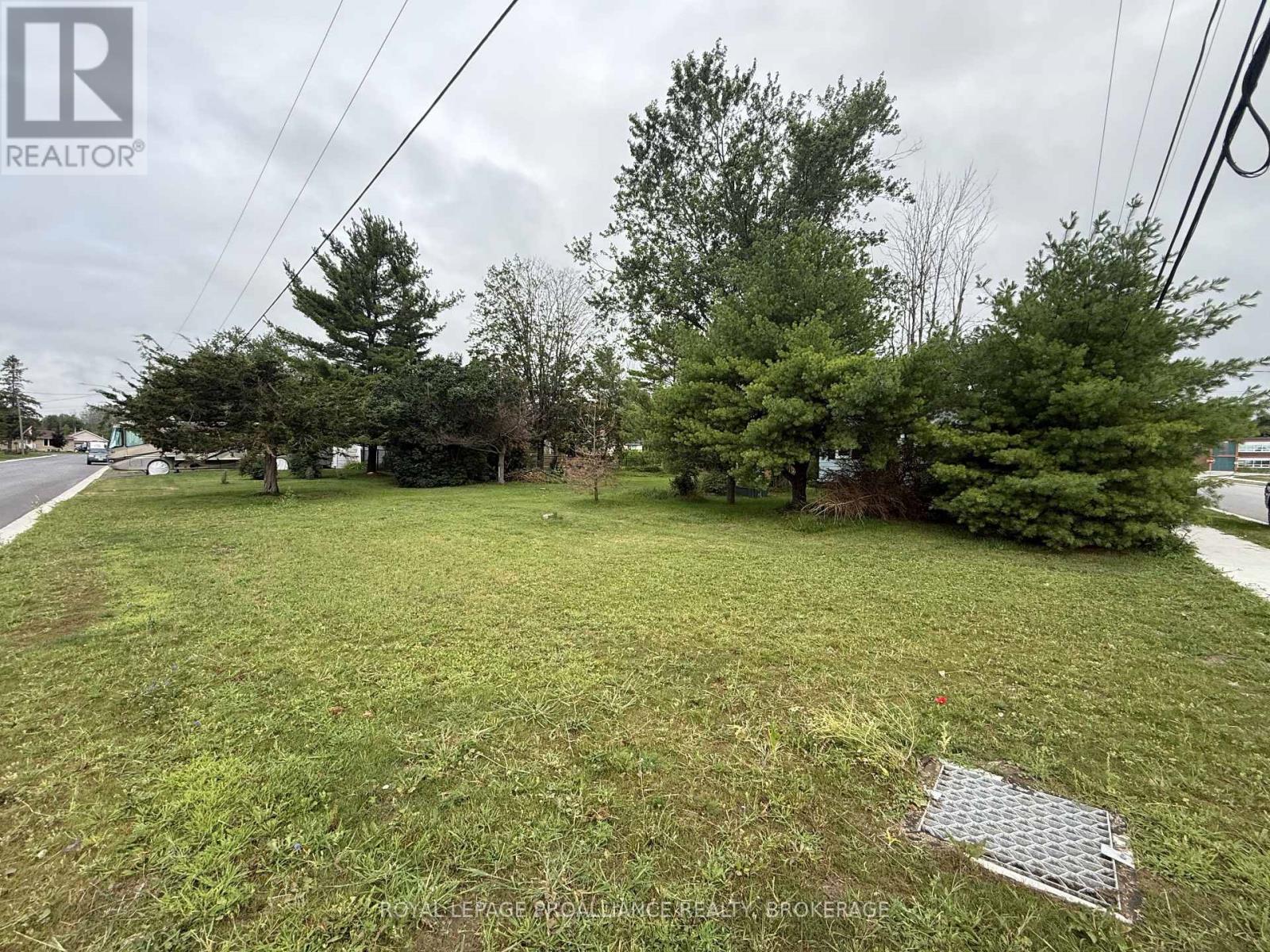 Part Lot 31 South Street, Loyalist, Ontario  K0H 2H0 - Photo 3 - X13622284
