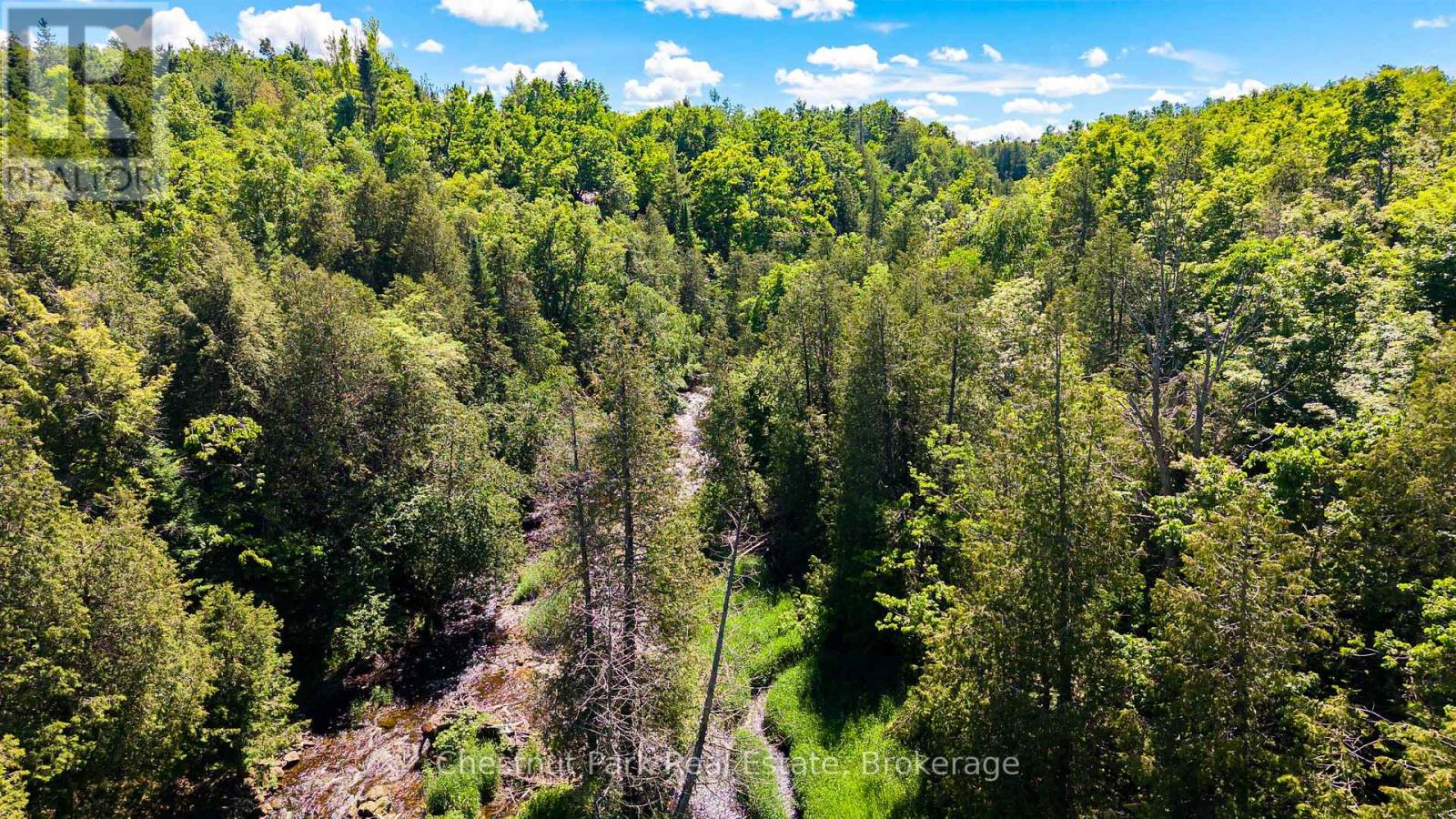 9420 Ewing Road, Clearview, Ontario  N0C 1M0 - Photo 27 - S13622230