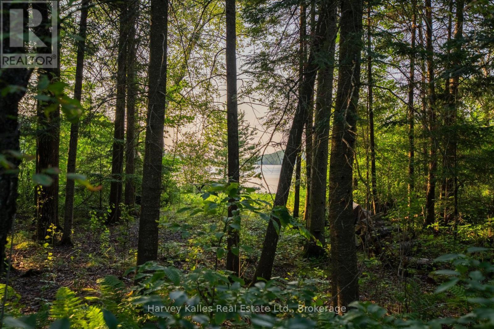 4154 & 4191 Ravenscliffe Road, Huntsville, Ontario  P1H 2J2 - Photo 7 - X13622164