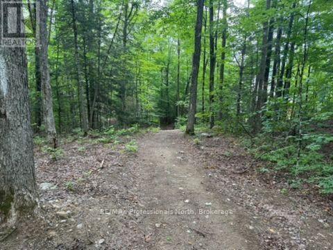 1035 Hearts Content Drive, Highlands East (Glamorgan), Ontario  K0M 1X0 - Photo 14 - X13622496