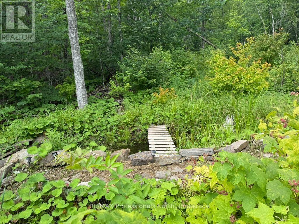 1035 Hearts Content Drive, Highlands East (Glamorgan), Ontario  K0M 1X0 - Photo 20 - X13622496