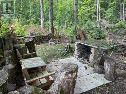 1035 Hearts Content Drive, Highlands East (Glamorgan), Ontario  K0M 1X0 - Photo 24 - X13622496