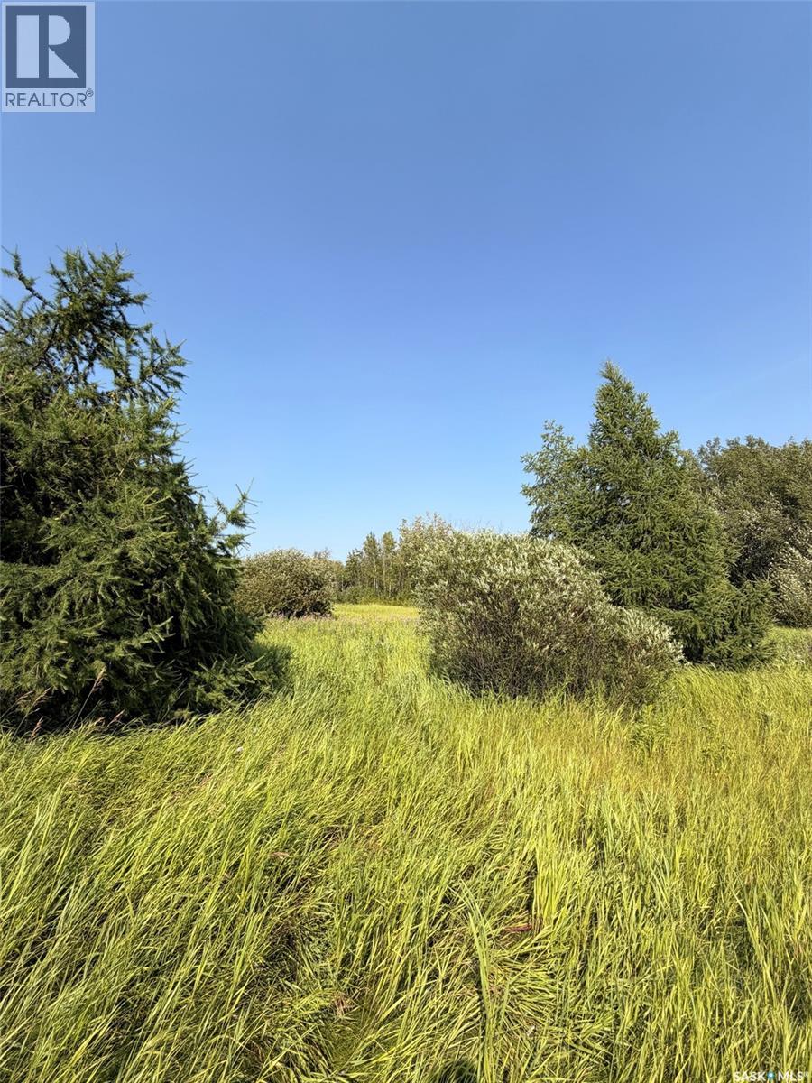 805 Northern Meadows Crescent, Beaver River Rm No. 622, Saskatchewan  S0M 1A0 - Photo 3 - SK032759