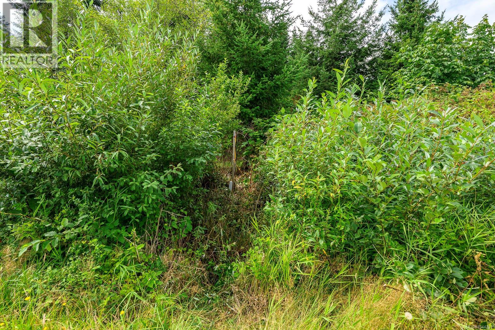 Lot 6 Eagles Rd, Courtenay, British Columbia  V9J 1V4 - Photo 17 - 1044711