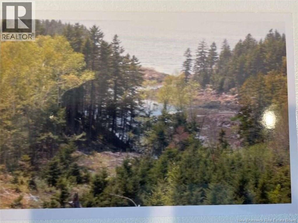 6 Roys Lane, Pennfield, New Brunswick  E5H 1R6 - Photo 5 - NB145107