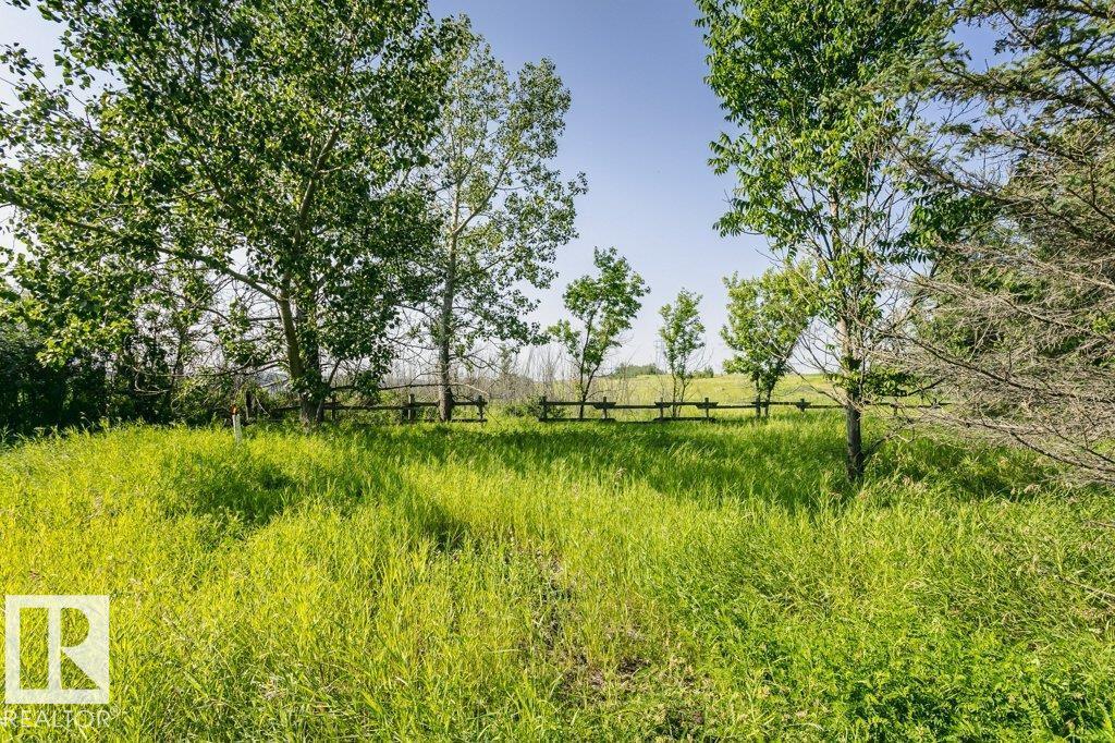 55319 Rge Road 222, Rural Sturgeon County, Alberta  T8L 5E2 - Photo 27 - E4501453