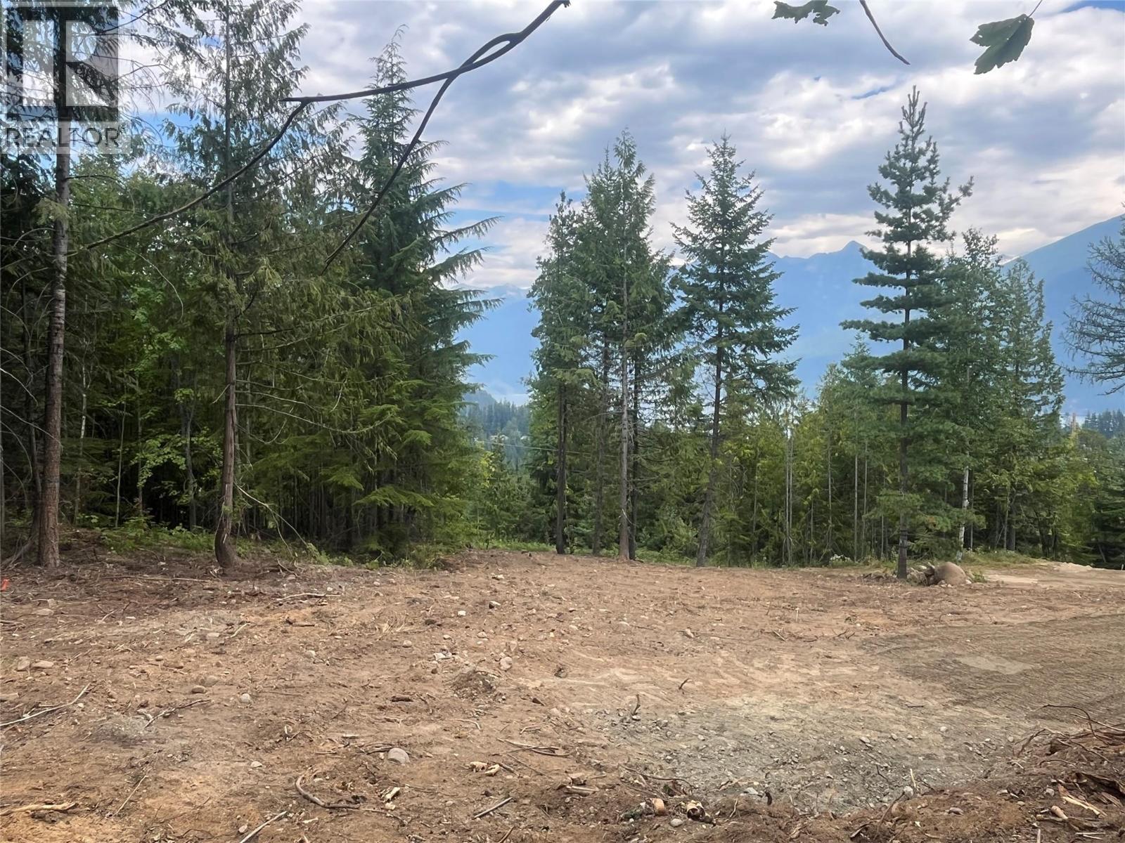 Lot 2 Balfour Avenue, Kaslo, British Columbia V0G 1M0 - Photo 11 - 10395970