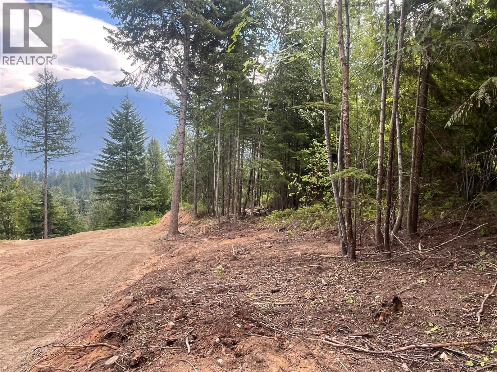 Lot 2 Balfour Avenue, Kaslo, British Columbia V0G 1M0 - Photo 12 - 10395970