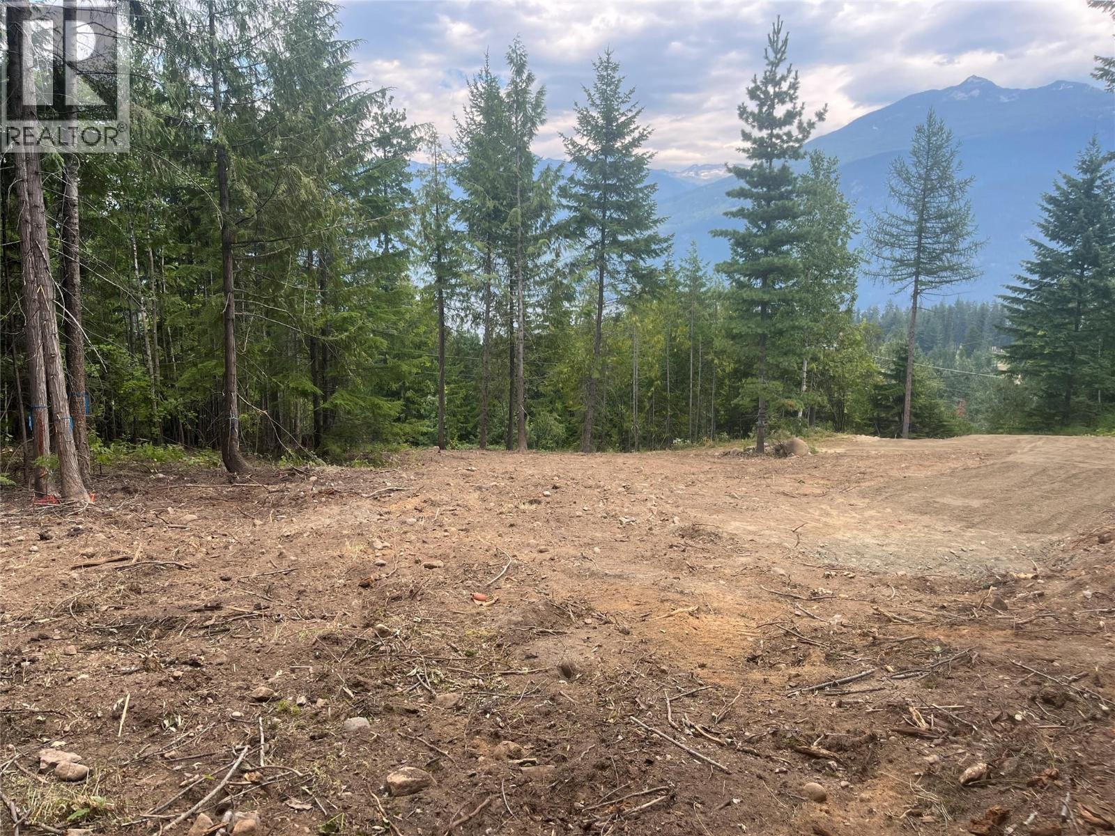Lot 2 Balfour Avenue, Kaslo, British Columbia V0G 1M0 - Photo 8 - 10395970