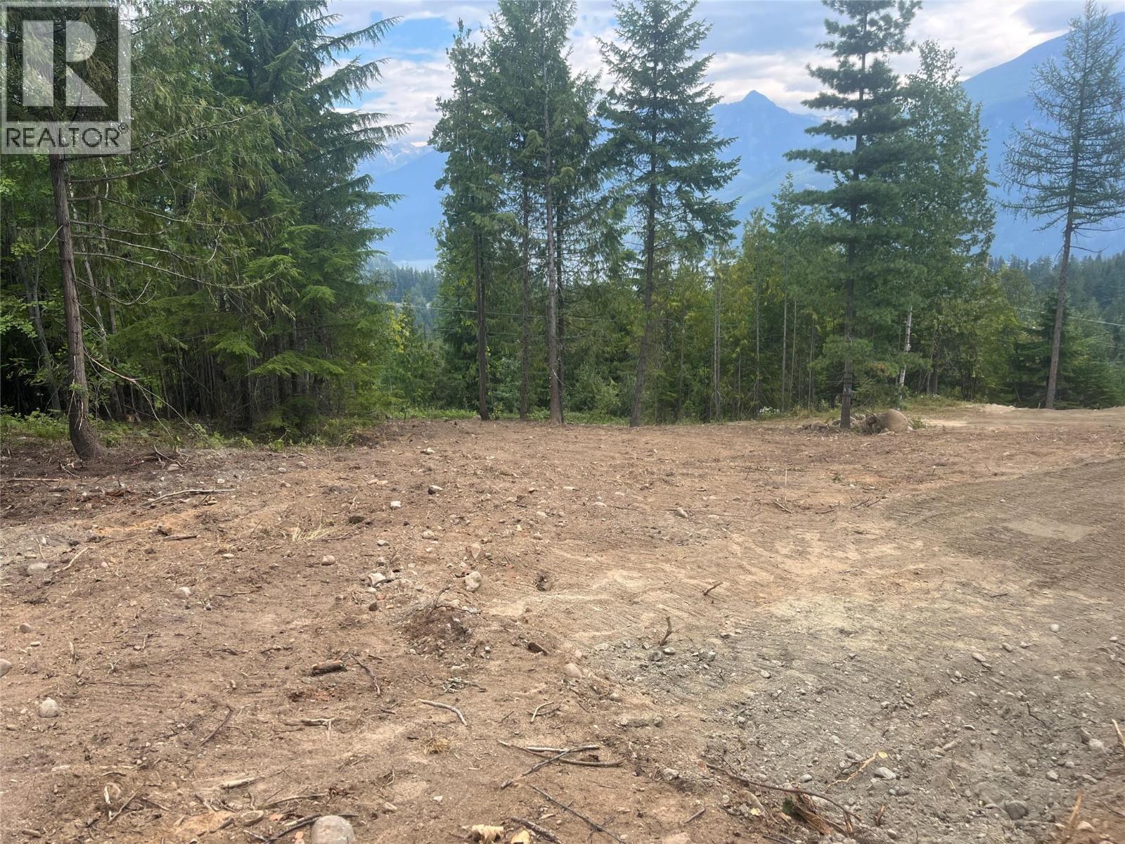 Lot 2 Balfour Avenue, Kaslo, British Columbia V0G 1M0 - Photo 6 - 10395970